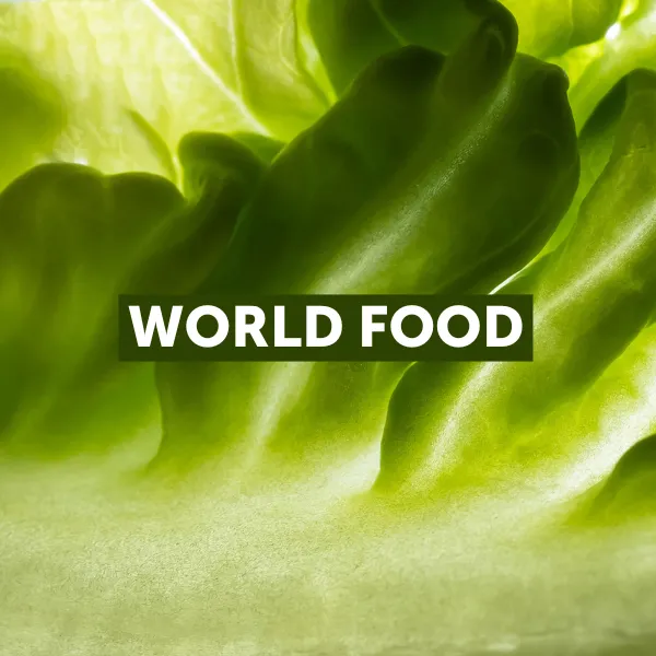 غذاهای جهان در نمایشگاه گلفود دبی